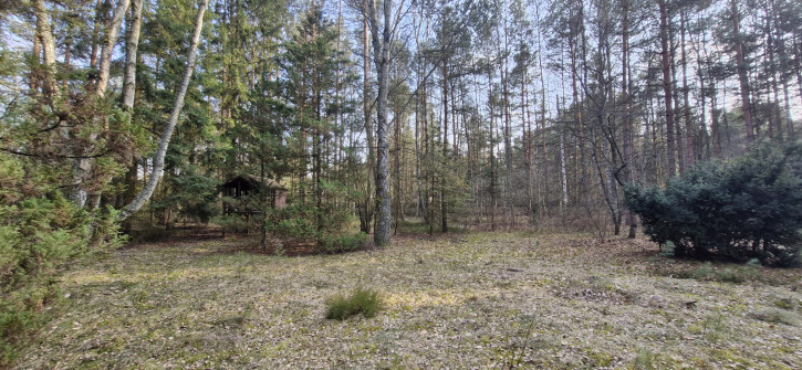 Działka Sprzedaż Malinówka 3