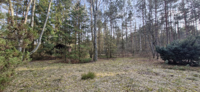 Działka Sprzedaż Malinówka