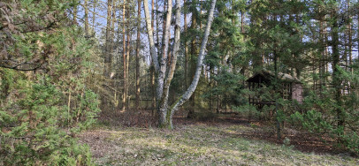 Działka Sprzedaż Malinówka